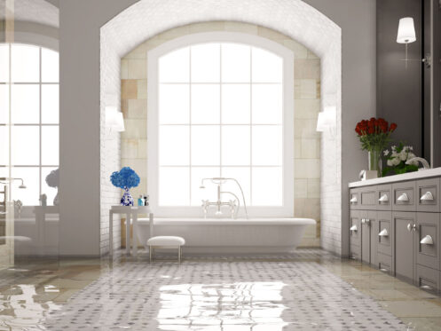 Emergency Plumber in Dallas, TX